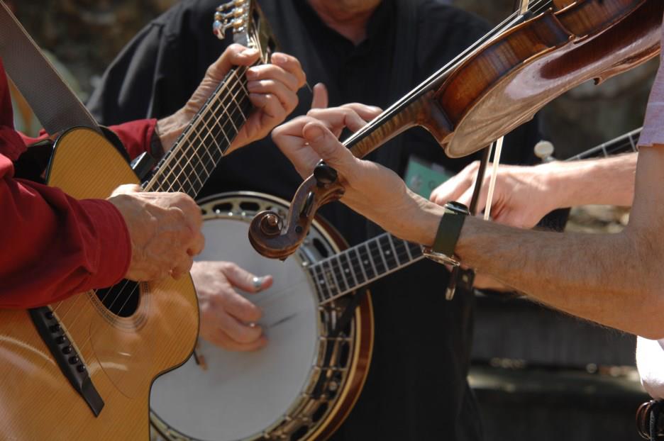 bluegrassinstruments